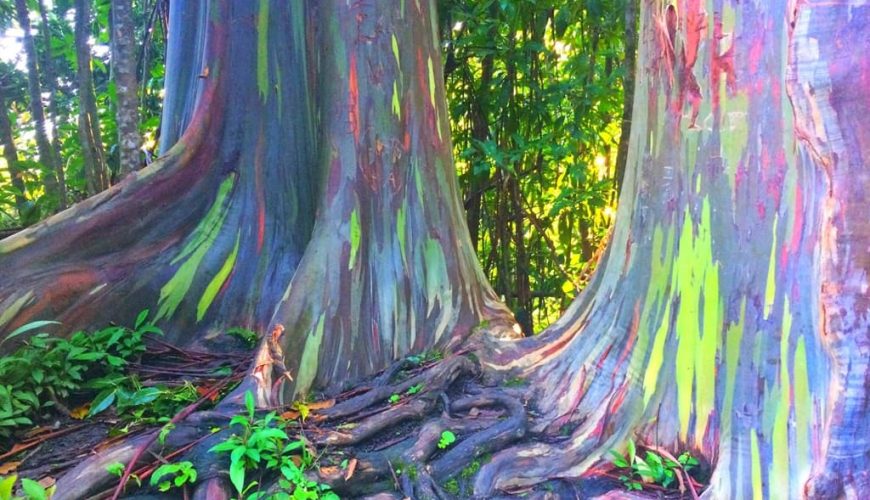 미국에서 가장 신비한 장소 베스트 10